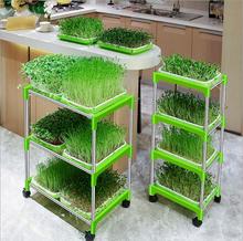New Double Layer Bean Sprouts Plate Seedling Tray Planting Dishes Growing wheat seedlings Nursery Pots Home Garden plant tools 2024 - buy cheap