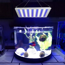 Luz LED para acuarios, lámpara de Coral de agua salada, azul y blanco, 91:78 75w, lámpara de germinación para cultivo de plantas, iluminación de Arrecife Marino para peceras 2024 - compra barato