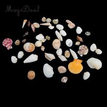 MagiDeal 2 Styles Natural Embellishments Sea Shells Craft Beach Home /School /Weddings /Party Ornaments Decor Gift 2024 - buy cheap