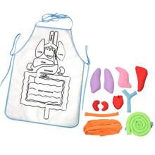 Human Body Apron Teaching Equipment Children's Educational Enlightenment Stereoscopic Organ Apron Early Education Teaching Aids 2024 - compre barato