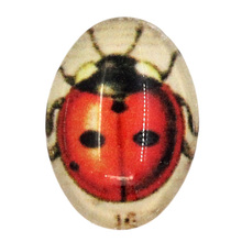 Doreenbeads de cabochões de cúpula de vidro, vedação ovais com parte traseira lisa e multicolorida padrão ladybird 18mm x 13mm ,2 peças 2024 - compre barato