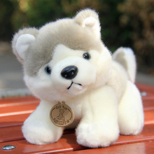 Perro husky de peluche de alta calidad, juguete para perro pequeño, perro husky gris, regalo de 21cm 2024 - compra barato