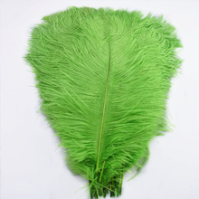 10Pcs/lot 15-70CM green crafts feathers ostrich plume DIY Dyed Natural decor feathers jewelry Home vase Party Decoration plumas 2024 - buy cheap