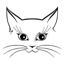 Funny Animal Cute Cat Face Car Sticker 14*12cm vinyl laptop full body window wall Decals car stickers and decals car styling 2024 - buy cheap