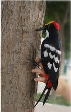 30CM feathers woodpecker bird hard model,polyethylene&furs handicraft Figurines&Miniatures decoration toy gift a2851 2024 - buy cheap