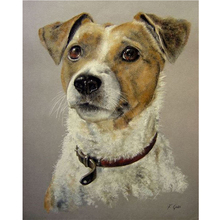 5d diy Diamond Embroidery Animal Jack Russell Terrier Dog diamond Painting Animal Cross Stitch Full Diamond Mosaic art Christmas 2024 - buy cheap