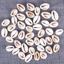 50pcs Natural Sea Shell Loose Beads Home Decoration DIY Craft Conch Shell Pendant Jewelry Accessories(20-23 mm) /(18-20 mm) 2024 - buy cheap