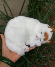 Gato fofo de imitação de polietileno & pelo amarelo cabeça de gato modelo presente sobre 18x6cm185 2024 - compre barato