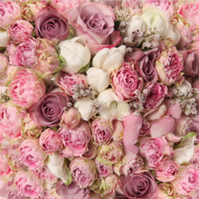 Pano de fundo floral com rosas 3d branco e rosa, pano de poliéster ou vinil com flores de alta qualidade para computador e festas 2024 - compre barato