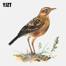 YJZT 12.6CM*13.9CM Cute Bird Standing In The Grass PVC Motorcycle Car Sticker 11-01491 2024 - buy cheap