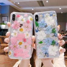 Real Flowers Dried Flowers Soft TPU Back Cover Case For iPhone 11 X 6 6S 7 8 plus 11 Pro Max SE 2020 Transparent Phone Case Gift 2024 - buy cheap