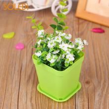 Colorful Flower Pots Multi-Meat Plant Dedicated Basin Small Gardening Plastic Flower Planters For Succulent Home Garden Decor 2024 - buy cheap