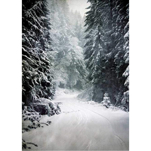 Fondos de fotografía escénica de invierno para niños, fondos de estudio fotográfico con camino cubierto de nieve, árboles de pino y bosque 2024 - compra barato