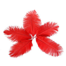 1000-2000pcs/lot Red Ostrich Feather 15-20CM diy feathers for Crafts  party supplies Carnival dancer wedding decoration plumas 2024 - buy cheap