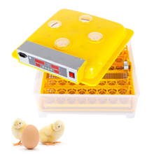 ZZ48 Automatic Egg Incubators Fully Hatchery Machine Mini 48 Chicken Sale Automatic Turn for Chicken Duck Pigeon Quail Parrot 2024 - buy cheap