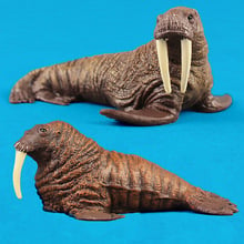 Sealife Ocean Animal Walrus Figurine Figure Toy Kids Gift Educational Toy 2024 - buy cheap