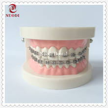 Modelo de instrucciones de cepillado de dientes/modelo de dientes de ortodoncia/modelo de ortodoncia Dental/modelo de dientes para clínica de laboratorio Dental educativo 2024 - compra barato