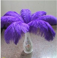 wholesale 100pcs / lot high quality purple ostrich feathers 10-12 inches / 25 to 30 centimeters celebration stage decoration 2024 - buy cheap