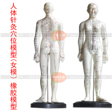 Modelo de ponto de acupuntura de corpo humano (modelo feminino) de 48cm, modelo de plástico 2024 - compre barato