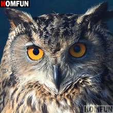 HOMFUN Full Square/Round Drill 5D DIY Diamond Painting "owl" Embroidery Cross Stitch 5D Home Decor A01626 2024 - buy cheap