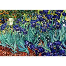 Handmade Canvas Art Irises Vincent Van Gogh Paintings Modern Flower Oil Artwork For Bedroom Wall Decor Christmas Gift Quality 2024 - buy cheap