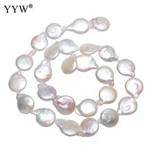 YYW Cultured Coin Freshwater Pearl Beads Flat Round Natural White 13-14mm Approx 0.8mm Sold Per Approx 15 Inch Strand 2024 - buy cheap