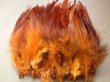 heat! Free shipping sell 50 pcs Orange pheasant feather, 10-15cm long, DIY jewelry decoration 2024 - buy cheap