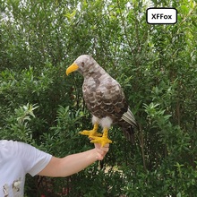 big simulation eagle model foam&feather gray eagle bird toy gift about 50cm xf1052 2024 - buy cheap