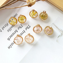 Fashion unique exquisite earrings earrings circular resin petal ear Ms. Statement 2018 The new jewelry Earrings jewelry wholesal 2024 - buy cheap
