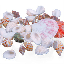 New Approx 100g Beach Mixed SeaShells Mix Sea Shells Shell Craft SeaShells Aquarium #67179 2024 - buy cheap