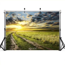 Fondo de fotografía de campo y atardecer, telón de fondo de carretera, retrato para fotografía, accesorios de tela de vinilo impreso, estudio fotográfico 2024 - compra barato