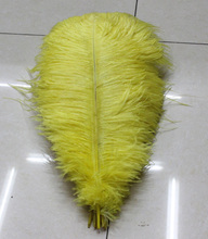 Realmente! Frete grátis fabricante venda penas amarelas de avestruz 8-10 polegadas/20-25cm 50 peças 2024 - compre barato