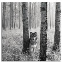 Quality High 1 Pcs Animal Canvas Painting Modern Wolf In Forest Gray Canvas Wall Paintings 3d Painting 2024 - buy cheap