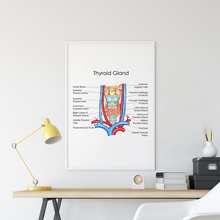 Human Anatomy Thyroid Gland Diagram Prints Doctor Office Wall Art Poster Decor Medical Education Chart Biology Canvas Painting 2024 - buy cheap
