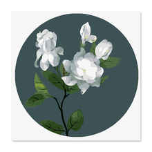 Pintura Digital sobre lienzo, pinturas famosas Color abstracto Gardenia Diy por números, Rosa Blanca, flor 2024 - compra barato