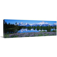 5d diy pintura de diamante paisagem grand teton country park bordado ponto de cruz de diamante quadrado completo estande redondo 2024 - compre barato