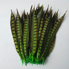 50 piunids/lote plumas de cola de faisán 25-30 CM plumas de faisán verde Natural para manualidades DIY decoraciones de boda 2024 - compra barato