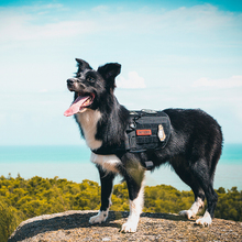 OneTigris-arnés de asistencia para perros, chaleco táctico militar MOLLE, arnés de entrenamiento para perros de servicio 2024 - compra barato