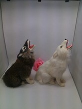 24x15 cm modelo de brinquedo lobo de cócoras, polietileno & peles artesanato presente decoração brinquedo a2440 2024 - compre barato