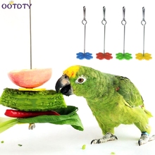 Parrot Fruit Fork Feeding Birds Hang Cage Stainless Steel Parakeet Skewer 2 Size 2024 - buy cheap