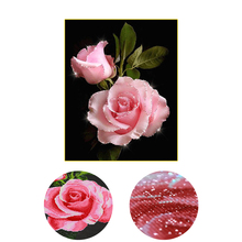 Novo, forma especial, bordado diamante, china, flores, rosa, 5d, pintura diamante, ponto cruz, 3d, mosaico de diamantes, parede de decoração 2024 - compre barato