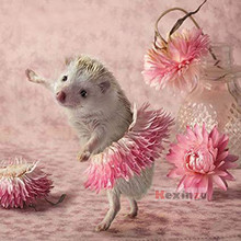 kexinzu Full 5D DIY Square Diamond Painting"Flower Hedgehog"3D Embroidery Cross Stitch Rhinestone Mosaic Home Decor Gift W3323 2024 - buy cheap