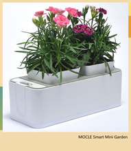 Smart Mini Garden better than click and grow Factory Direct 2024 - купить недорого