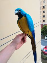 Aves artificiais de espuma e penas grandes 45cm, papagaio de penas azuis, asas abertas para papagaio, decoração de jardim de casa w0778 2024 - compre barato
