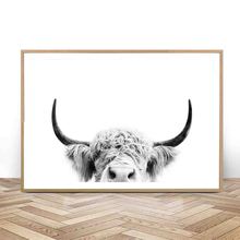 Preto branco highland vaca gado impressão da arte da parede lona cartaz pintura animal decoração imagens sala de estar para casa 2024 - compre barato