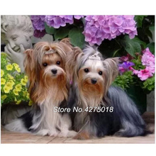 full square Diamond Embroidery"Pet Dog Yorkshire Terrier"5d DIY Diamond Painting cross Stitch with Drill Mosaic kits YG413 2024 - buy cheap