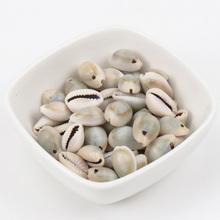 10-25mm Grey Natural Shell Loose Beads for jewelry making DIY about 40pcs TRS0080-2 2024 - buy cheap