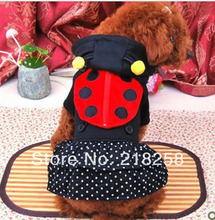 New Cute Dimensional black ladybug Pet Dogs Coat Free Shipping By china post Dogs clothes 2024 - buy cheap