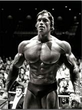 Arnold Schwarzenegger Bodybuilding Motivational Art Silk Poster Print Fitness Inspirational Picture for Room Wall Decor 2024 - buy cheap