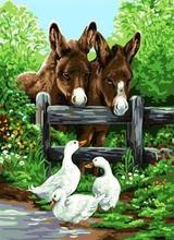 Donkeys and Geese animal painting by numbers on canvas DIY oil paintings for living room wall 2024 - buy cheap